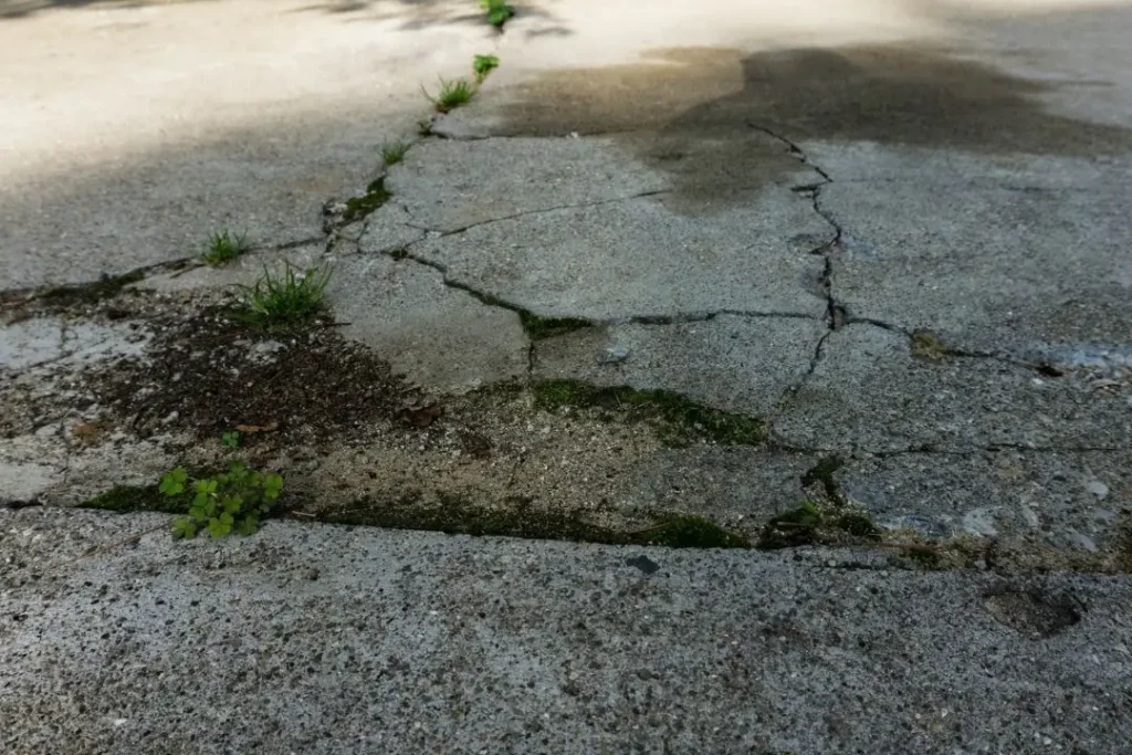 cracked driveway